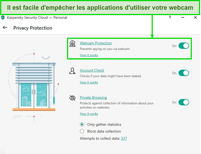 Capture d'écran des options de protection de la confidentialité de Kaspersky Desktop