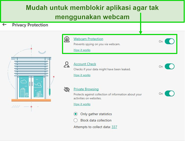 Tangkapan layar opsi Perlindungan Privasi desktop Kaspersky