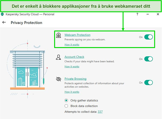Skjermbilde av Kaspersky desktop Alternativer for beskyttelse av personvern