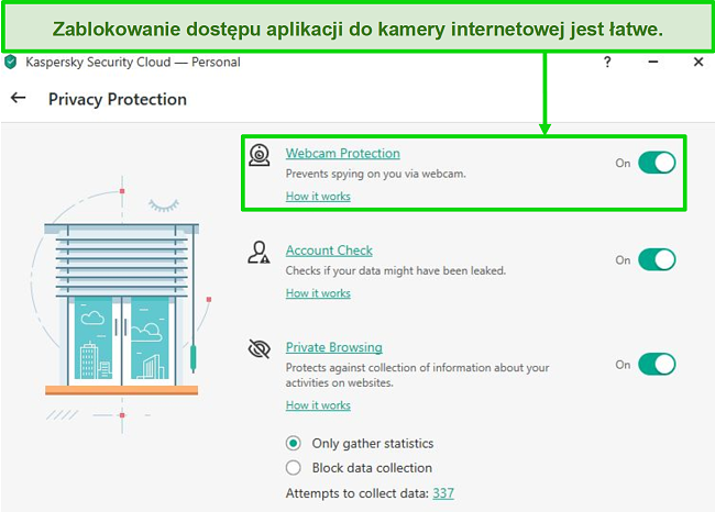 Zrzut ekranu z opcjami Ochrony prywatności Kaspersky desktop