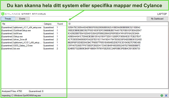 Skärmdump av Cylances systemsökning och resultat.