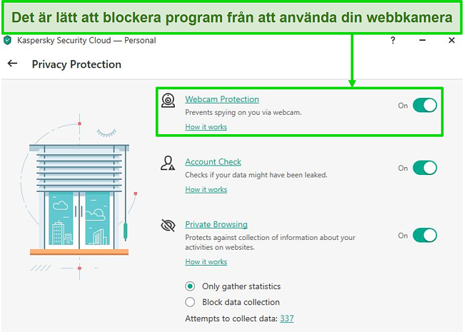 Skärmdump av Kaspersky-sekretessskyddets alternativ