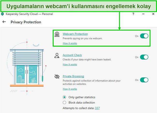 Kaspersky masaüstü Gizlilik Koruması seçeneklerinin ekran görüntüsü