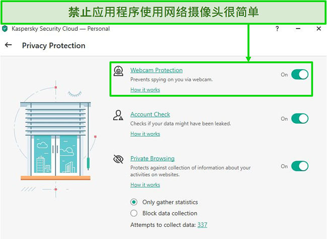 卡巴斯基桌面版隐私保护选项的屏幕截图
