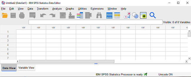 SPSS Interface