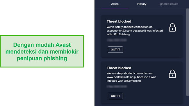 Tangkapan layar peringatan Avast tentang domain phishing dan pemblokiran akses ke domain tersebut.