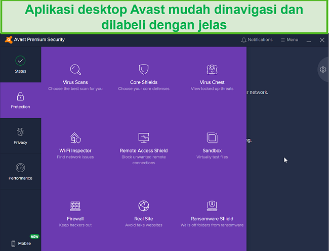 Tangkapan layar dari menu Perlindungan desktop Avast