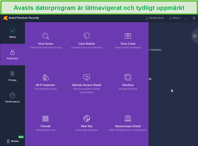 Skärmdump av Avasts skrivskyddsmeny