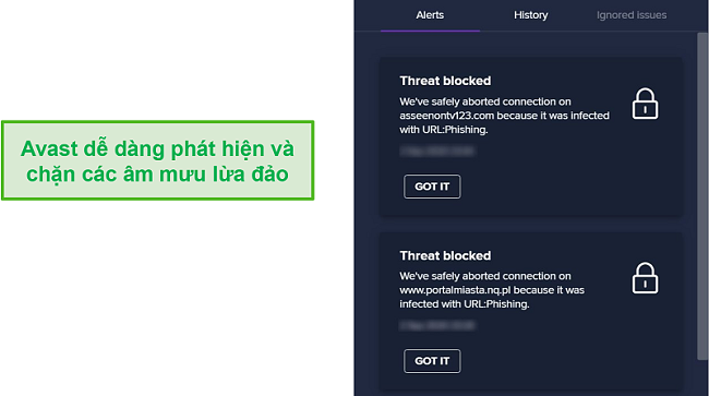 Ảnh chụp màn hình cảnh báo của Avast về các miền lừa đảo và chặn quyền truy cập vào chúng.