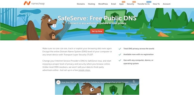 Screenshot of SafeServe web page.