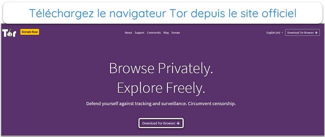 Image de la page d'accueil du projet Tor.