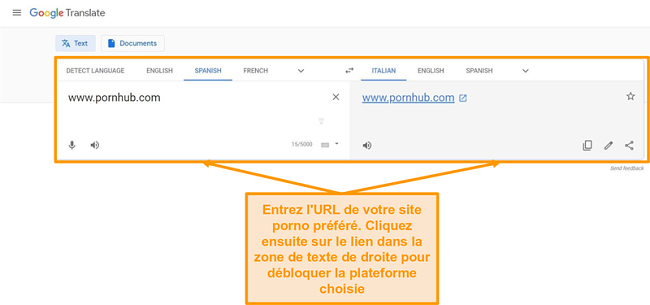 Capture d'écran du déblocage d'un site porno à l'aide de Google Translate