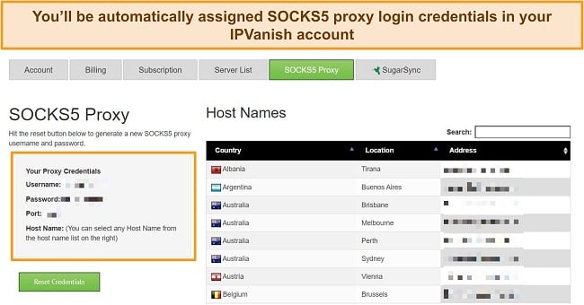 Screenshot of proxy login credentials assigned to my IPVanish account