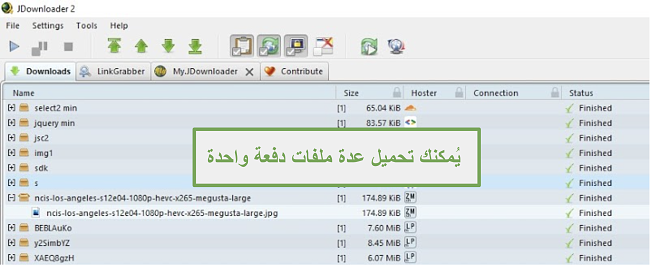 لقطة شاشة لميزة التنزيلات المتعددة لـ JDownloader