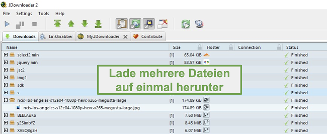 Screenshot der Mehrfach-Download-Funktion von JDownloader