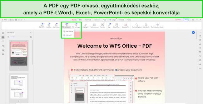 A WPS Office PDF-olvasó eszközeinek képernyőképe