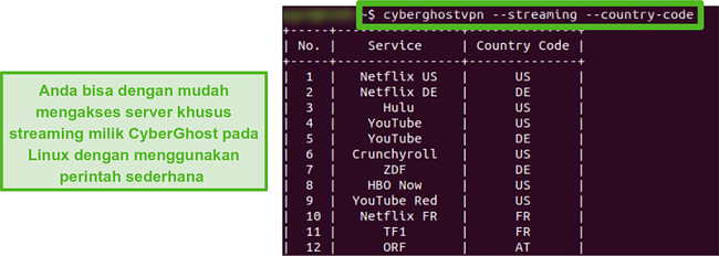 Tangkapan layar dari server streaming khusus CyberGhost di Linux.