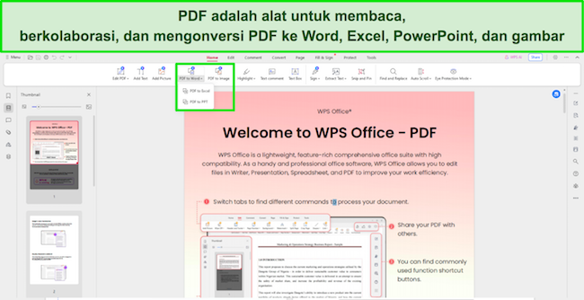 Tangkapan layar alat pembaca PDF WPS Office