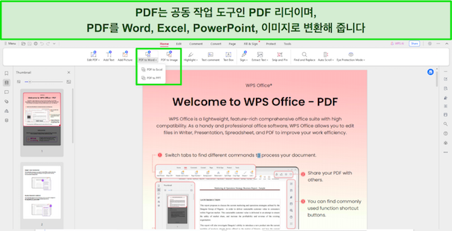 WPS Office PDF 리더 도구 스크린샷