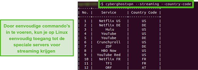 Screenshot van de speciale streamingservers van CyberGhost op Linux.