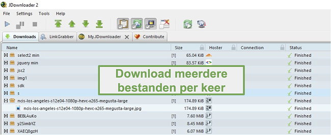 Screenshot van de functie voor meerdere downloads van JDownloader