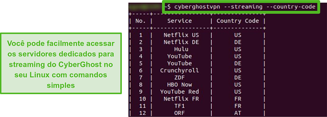 Captura de tela dos servidores de streaming dedicados da CyberGhost no Linux.