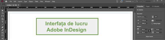 Captură de ecran a stației de lucru Adobe InDesign