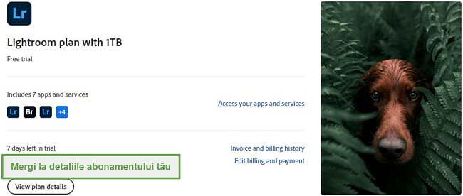 Vizualizați detaliile planului Adobe