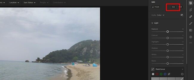 Using the Auto Lightroom feature