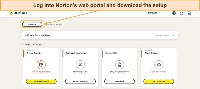 Screenshot of Norton's price plans
