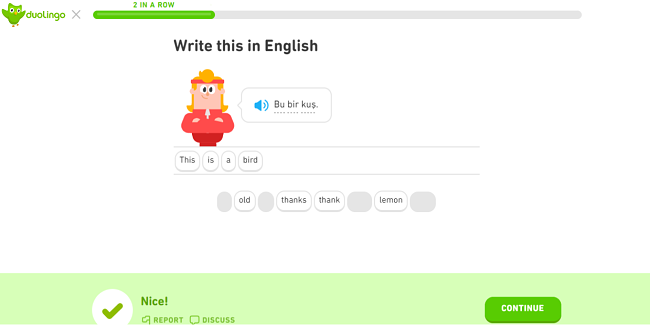 Screenshot of Duolingo home page