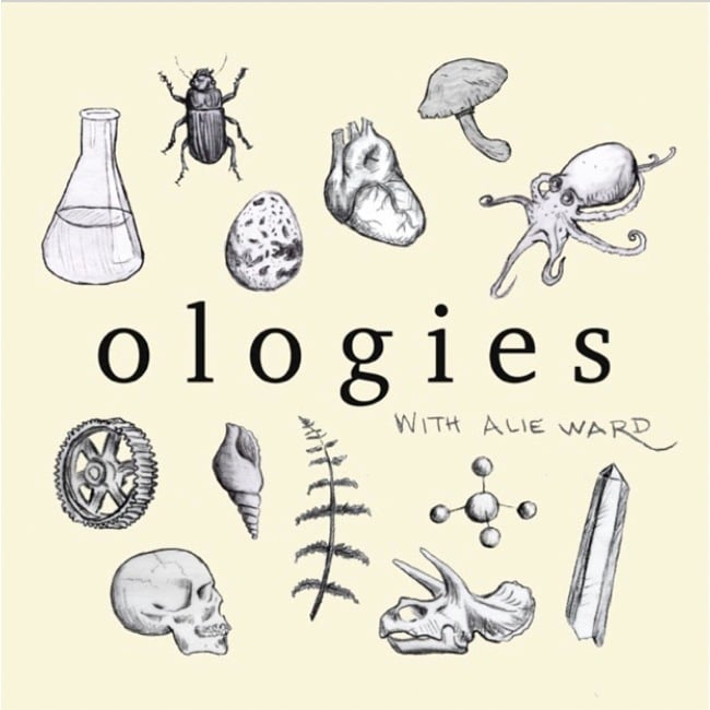 Ologies with Alie Ward Podcast Cover