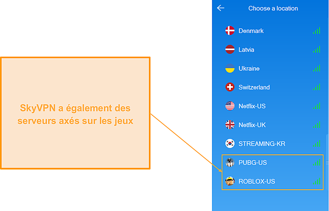 Capture d'écran des serveurs de jeu de SkyVPN.