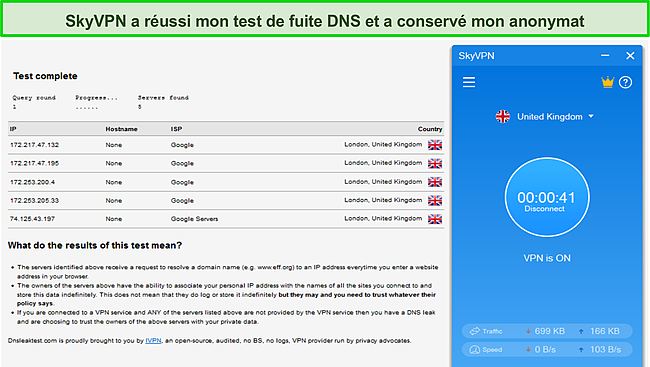 Capture d'écran de SkyVPN réussissant le test de fuite DNS.