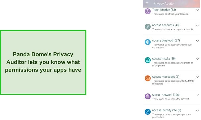 Screenshot of Panda Dome's Privacy Auditor