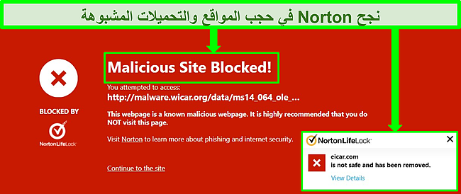لقطة شاشة لـ Norton 360 إذ يحظر الملفات الضارة