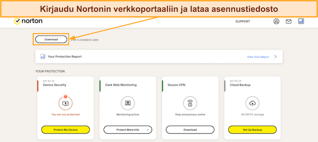 Kuvakaappaus Nortonin hintasuunnitelmista