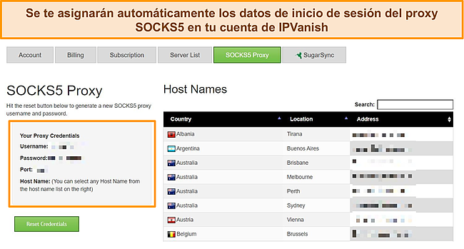 Captura de pantalla de las credenciales de inicio de sesión de proxy asignadas a mi cuenta de IPVanish
