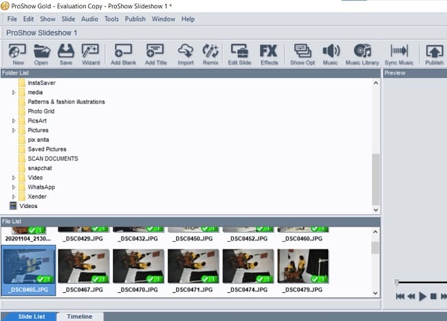 ProShow Gold editor application screenshot