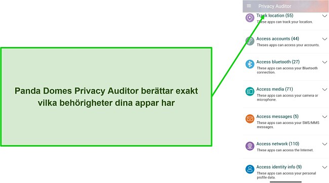 Skärmdump som visar Panda Domes Privacy Auditor-funktion
