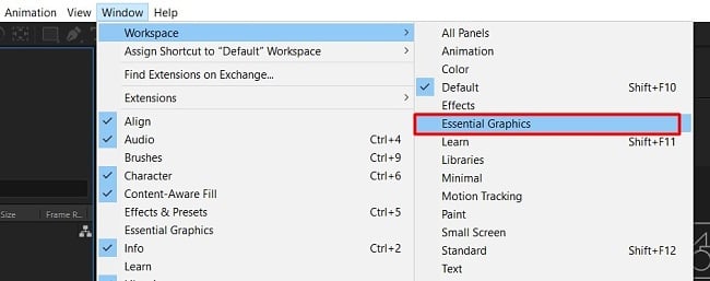 Essential Graphcs workspace