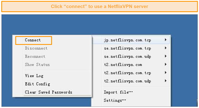 Screenshot of servers and how to connect to NetflixVPN servers via OpenVPN.