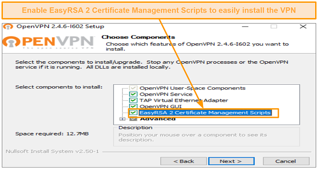 Screenshot of some programs to install alongside OpenVPN.