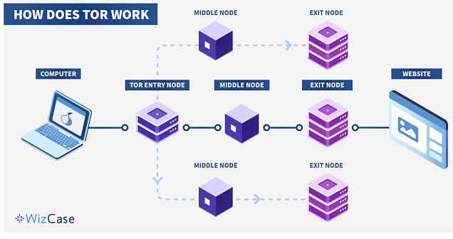 A diagram showing the path of the data through the Tor network.