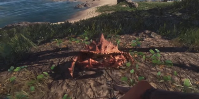 Stranded Deep PC Free Download Full Version - Gaming Beasts