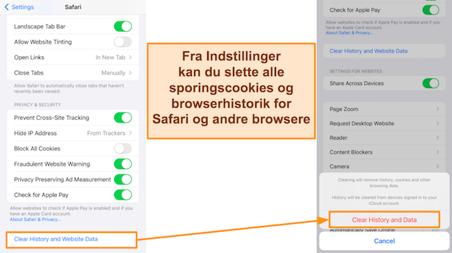 Skærmbillede af Safari-indstillinger for at rydde browserhistorik