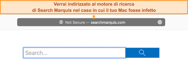 Screenshot del motore di ricerca Search Marquis