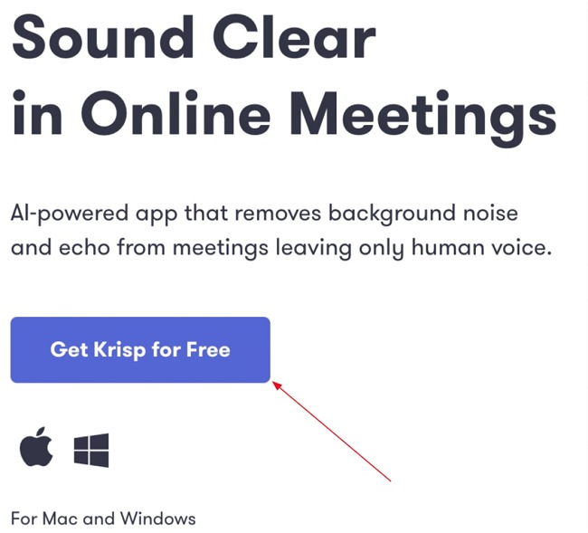 Krisp download button screenshot