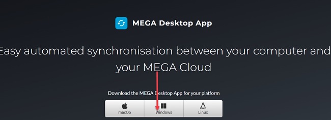 MEGA indirme düğmesi ekran görüntüsü