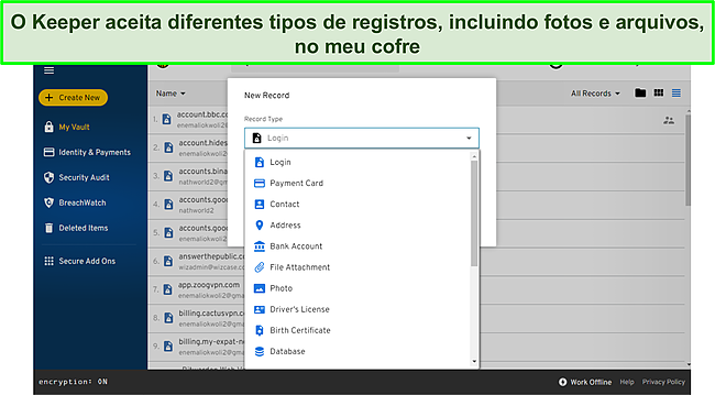 A captura de tela do Keeper oferece suporte a diferentes tipos de registros.